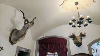 Kliknij i zobacz foto zwierzeta.jpg w powiększeniu