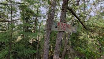 Kliknij i zobacz foto koziol-tabliczka.jpg w powiększeniu