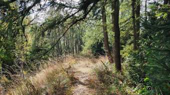 Kliknij i zobacz foto szlak-trawka.jpg w powiększeniu