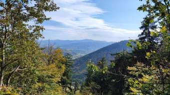 Kliknij i zobacz foto widoki-sowa.jpg w powiększeniu