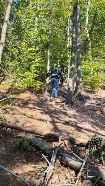 Kliknij i zobacz foto wspinaczka.jpg w powiększeniu
