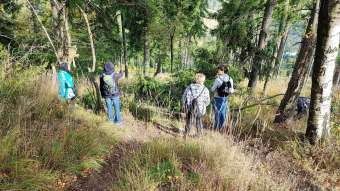 Kliknij i zobacz foto zgrupowanie-w-trawie.jpg w powiększeniu