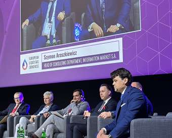 Kliknij i zobacz foto paneling.jpg w powiększeniu